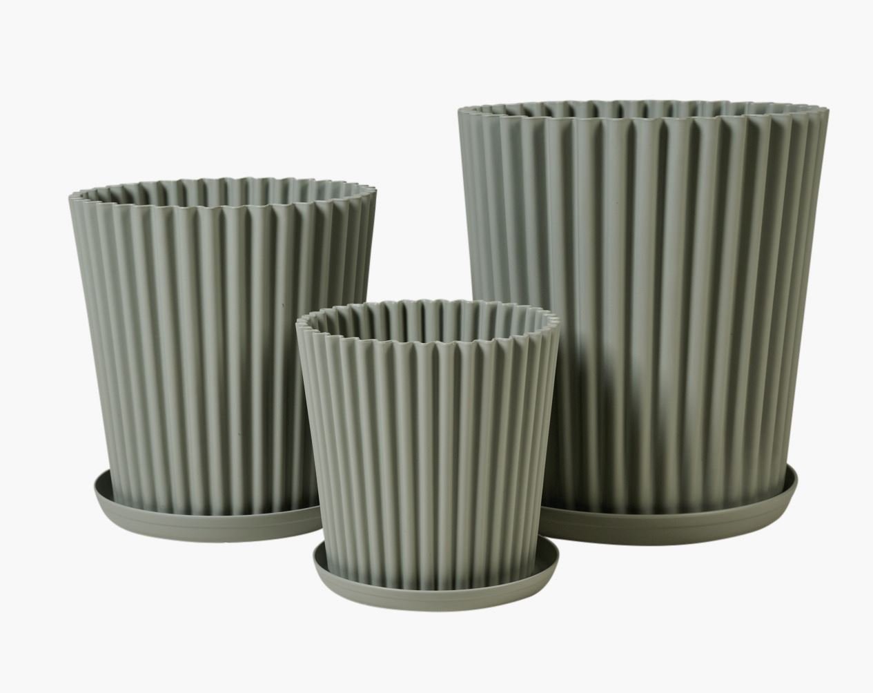 Utekruka grågön - 4