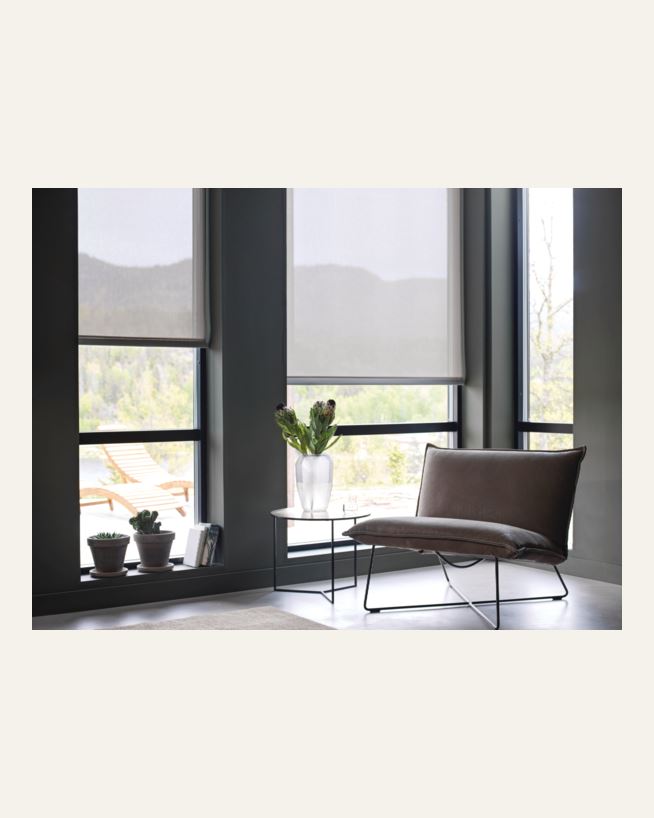 Screenrullgardin ljusgrå - 80x250 cm ljusgrå - 1