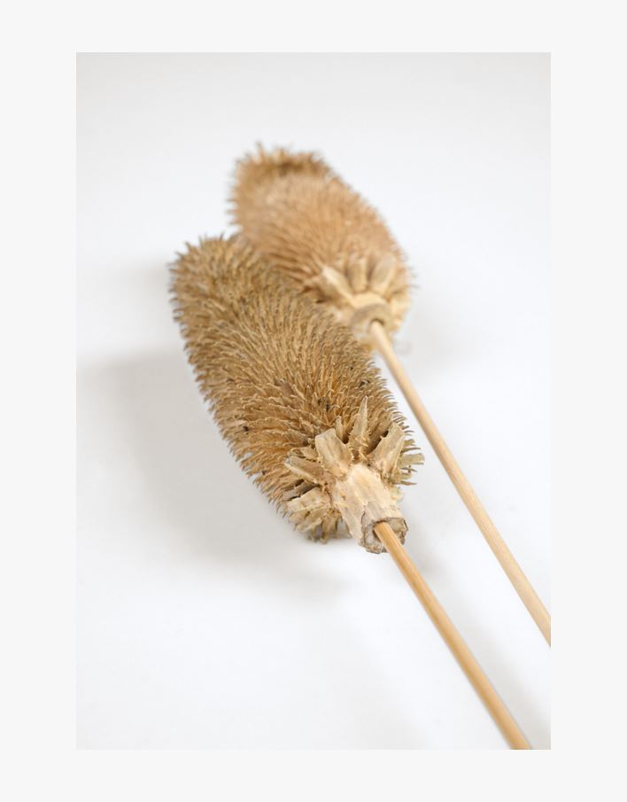 Torkade blommor natur - 73 cm natur - 1