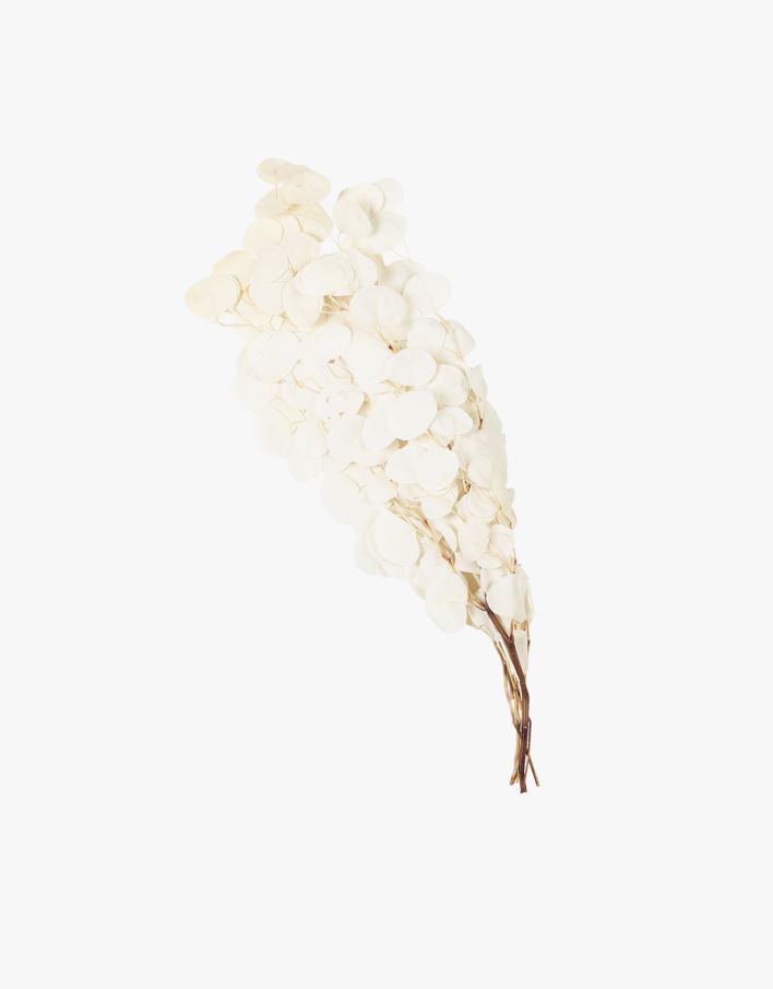 Kvist offwhite - 65 cm offwhite - 1