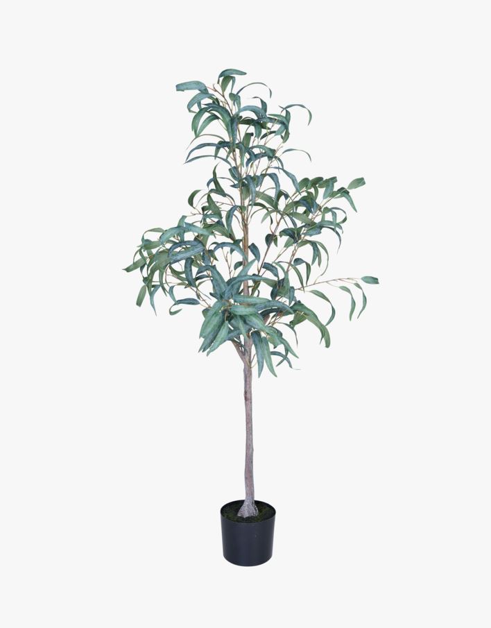 Växt grön - 55x50x150 cm grön - 1