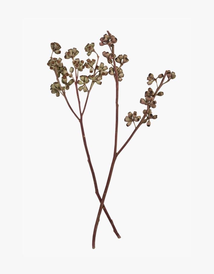 Bukett natur - 50 cm natur - 1